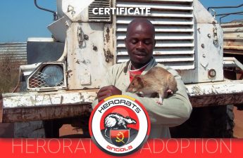 adopt a HeroRat